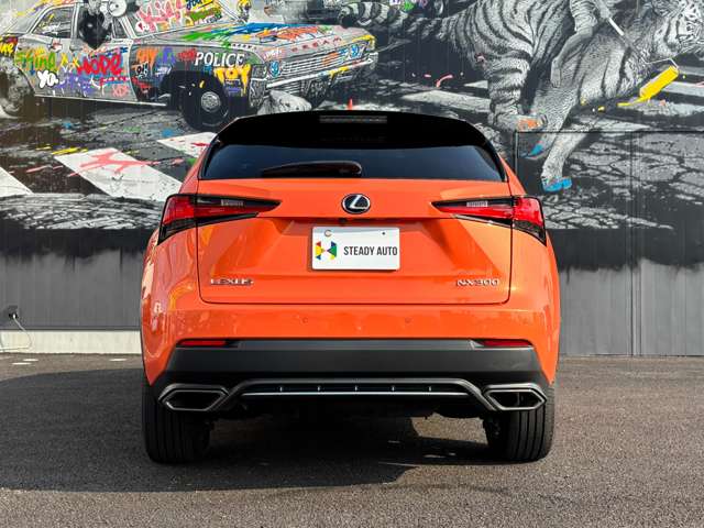 Lexus NX 10