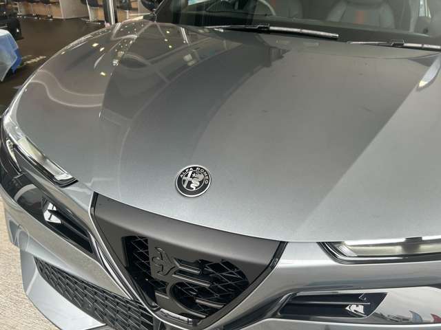 Alfa Romeo ジュニア 7