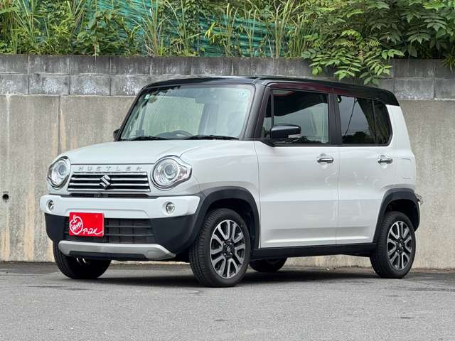 Suzuki Hustler 11