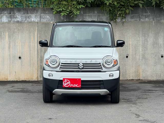 Suzuki Hustler 12