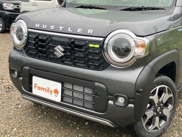 Suzuki Hustler 12