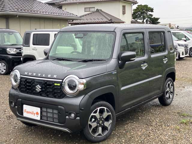 Suzuki Hustler 2