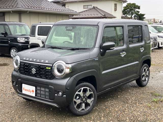 Suzuki Hustler 3
