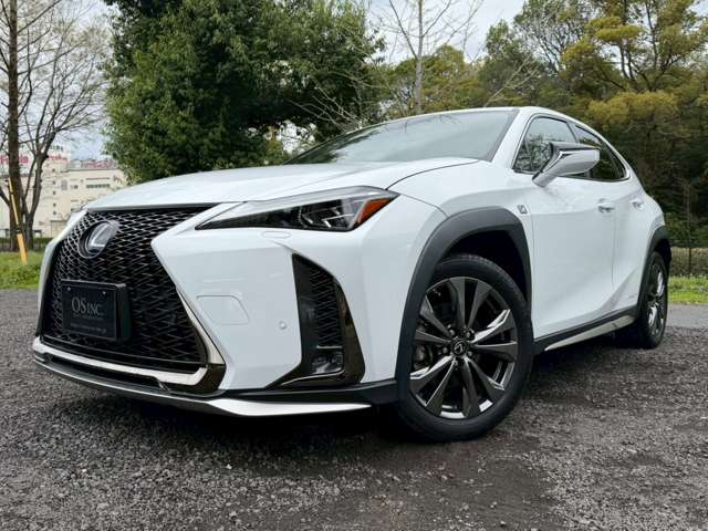 Lexus UX 10