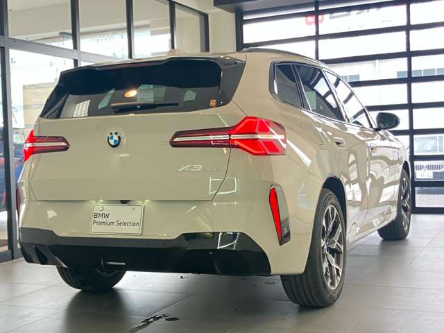 BMW X3 11