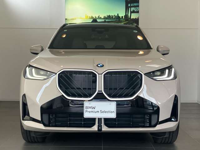 BMW X3 7