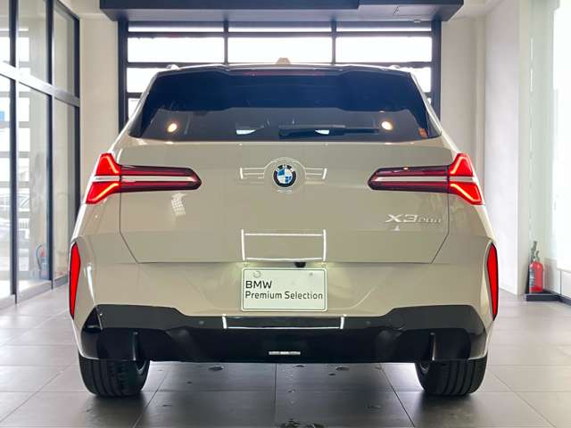 BMW X3 8