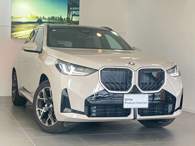 BMW X3 9