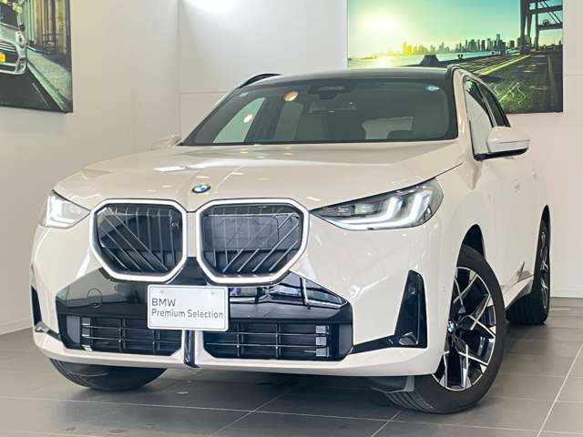 BMW X3 10