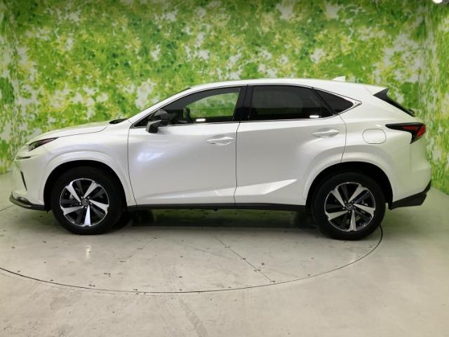 Lexus NX 5