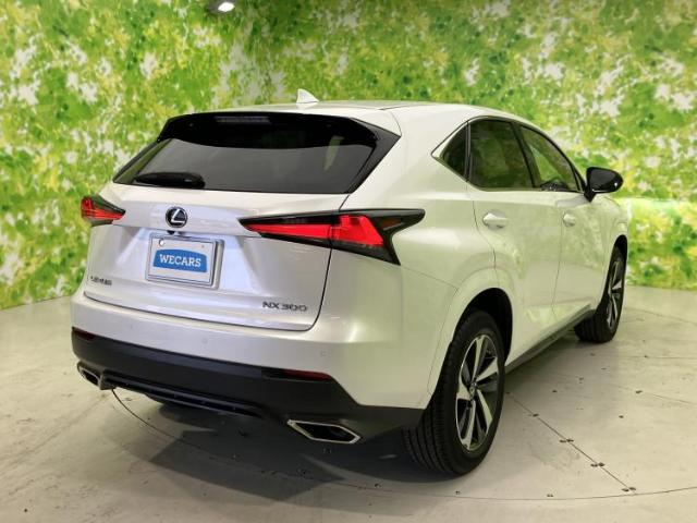 Lexus NX 6