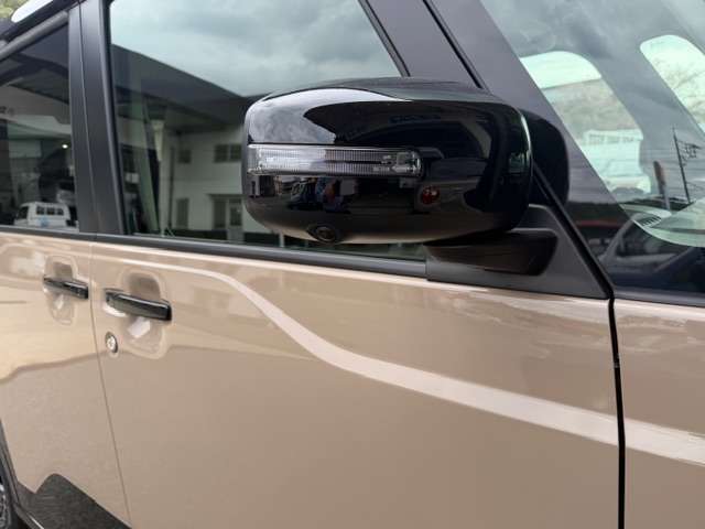 Mitsubishi Delica Mini 11