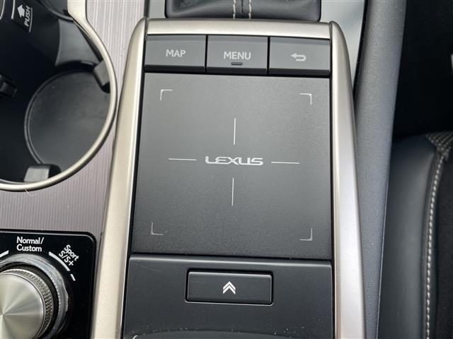 Lexus RX 11