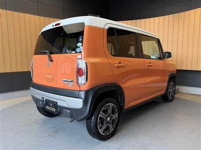 Suzuki Hustler 9