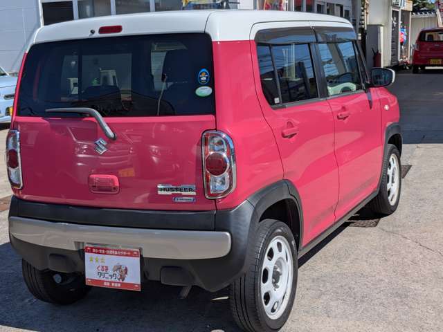 Suzuki Hustler 11