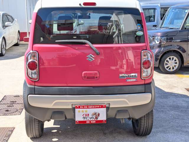 Suzuki Hustler 10