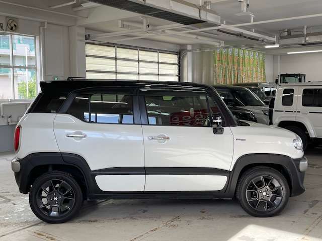 Suzuki XBEE 7