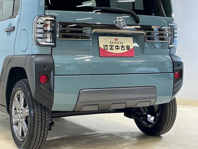 Daihatsu Taft 8