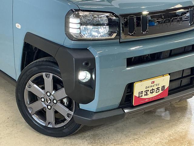 Daihatsu Taft 10