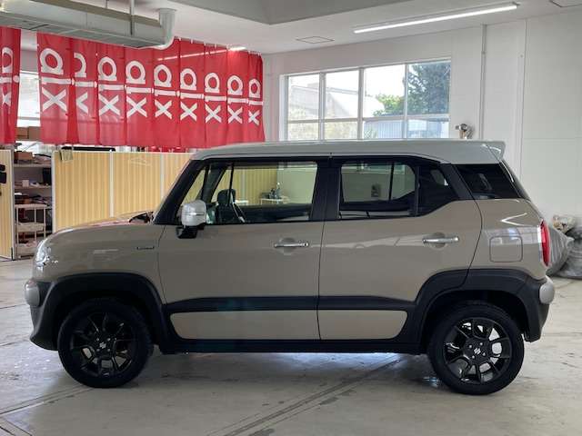 Suzuki XBEE 11