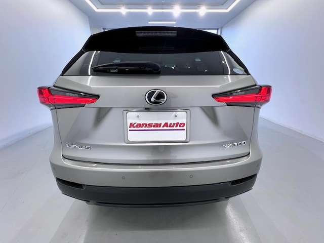 Lexus NX 6