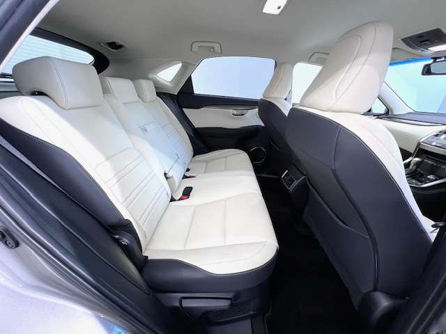 Lexus NX 8