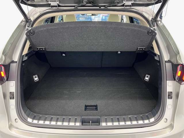Lexus NX 9