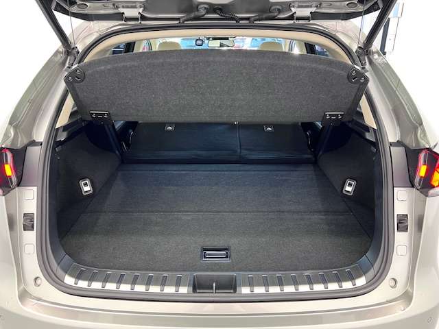 Lexus NX 10