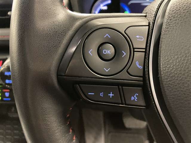 Toyota RAV4 PHV 6