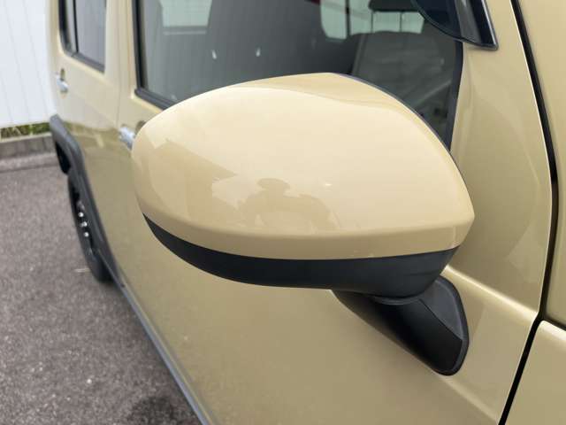 Daihatsu Taft 11