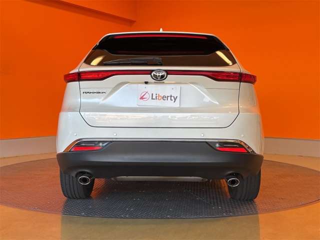 Toyota Harrier 10