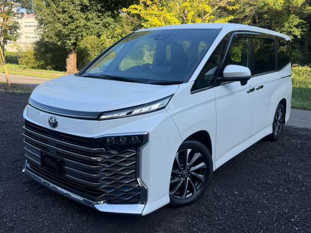 Toyota Voxy 9