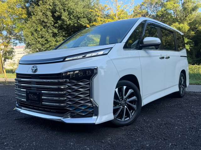 Toyota Voxy 10