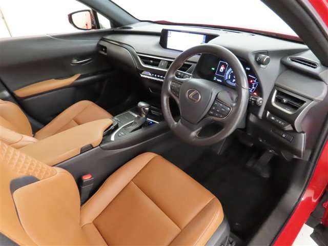 Lexus UX 10