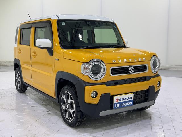 Suzuki Hustler 4