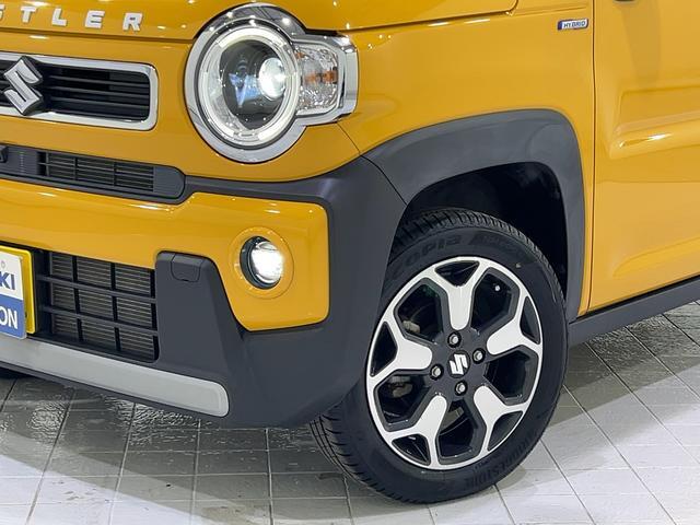 Suzuki Hustler 6