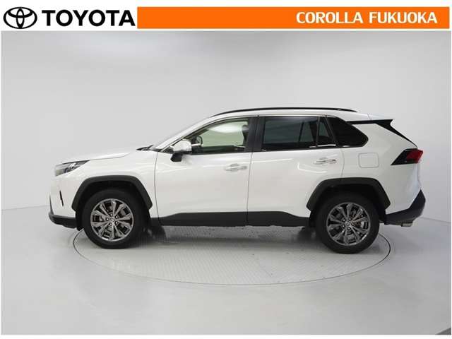 Toyota RAV4 6