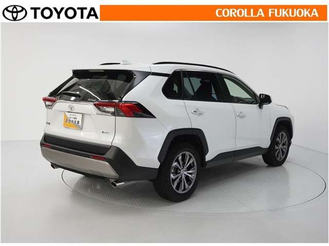 Toyota RAV4 8