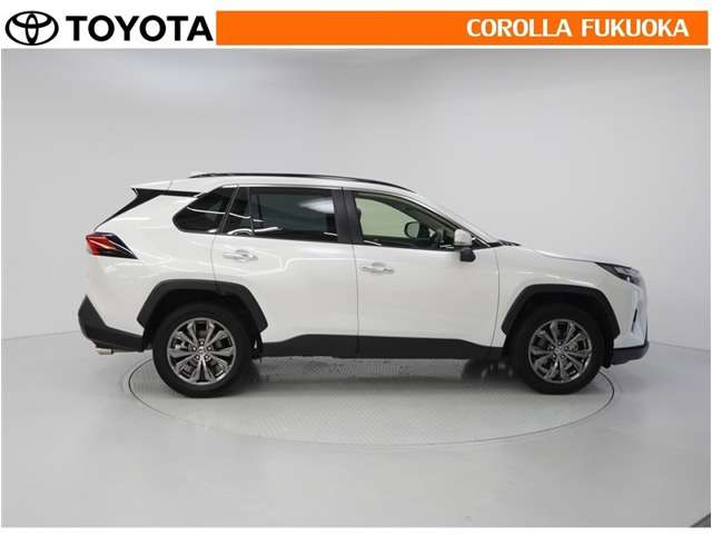 Toyota RAV4 9