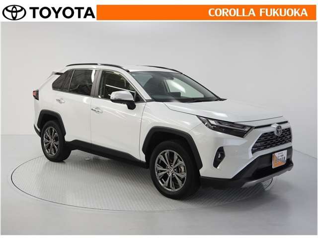Toyota RAV4 10