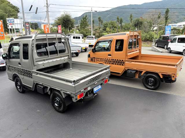 Suzuki Carry 11