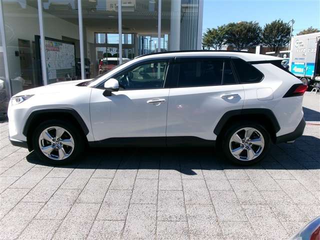Toyota RAV4 10