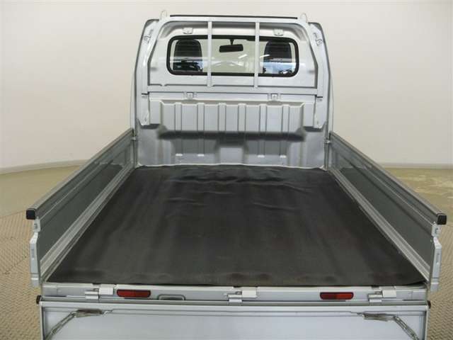 Suzuki Carry 11