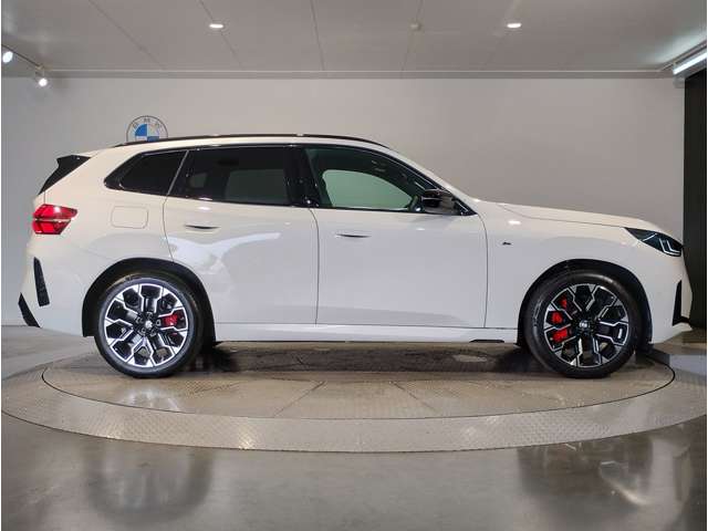 BMW X3 10