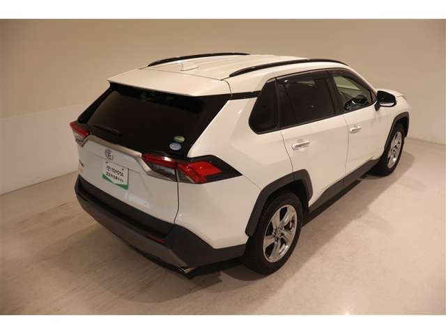 Toyota RAV4 10