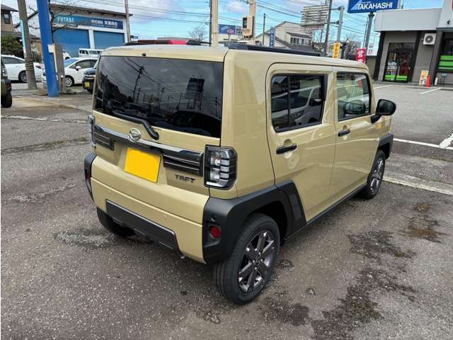 Daihatsu Taft 6