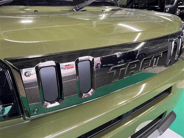 Daihatsu Taft 8