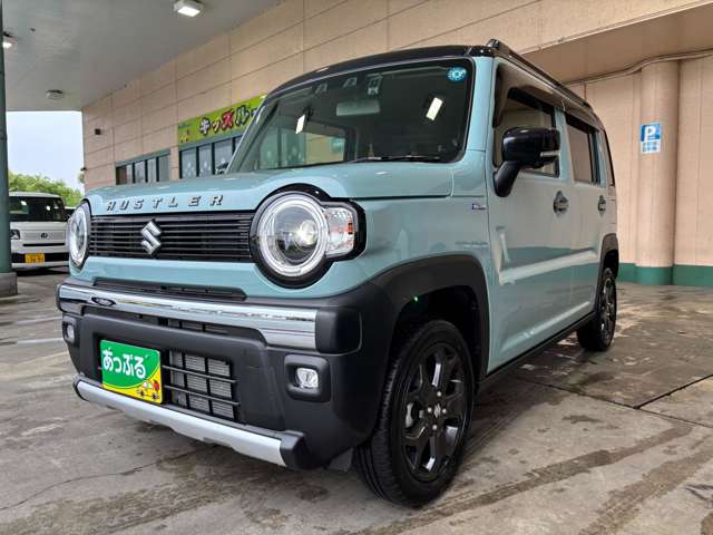 Suzuki Hustler 8