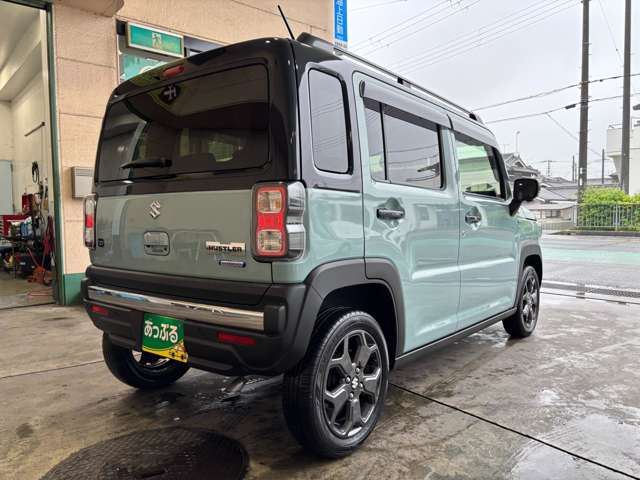 Suzuki Hustler 9