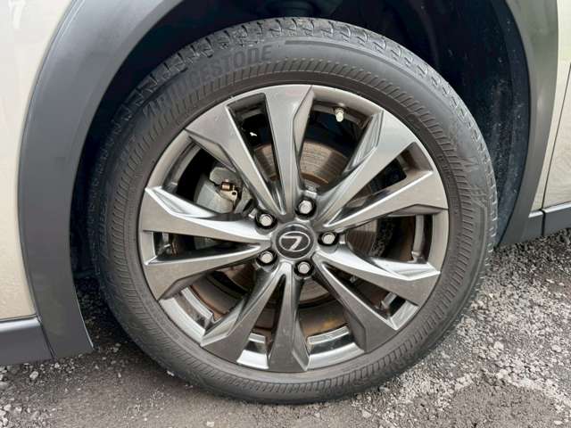 Lexus UX 11